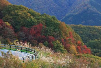 秋グルメと温泉を堪能しよう！岡山県の紅葉を楽しめるドライブコース