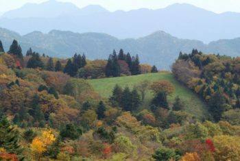 秋グルメと温泉を満喫しよう！愛知県の紅葉を楽しめるドライブコース