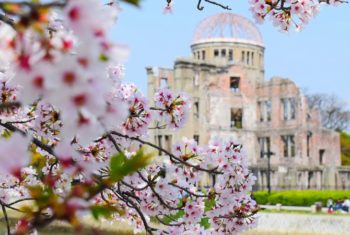 広島県で桜を見るならどこ？お花見ドライブで春を満喫しよう！