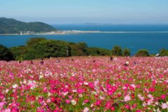 【福岡県】日帰りドライブデート