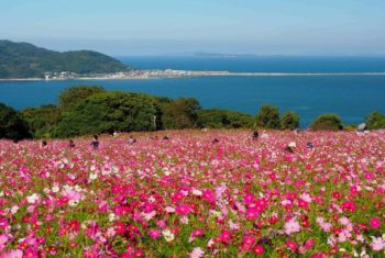 【福岡県】日帰りドライブデート！女性が感動する絶景スポット特集