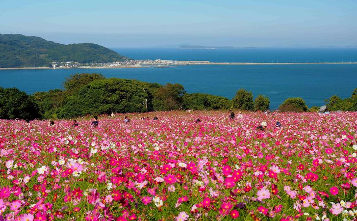 【福岡県】日帰りドライブデート