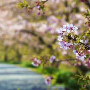 花の三聖苑伊豆松崎