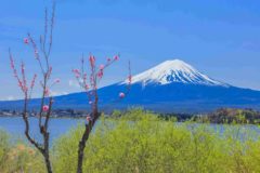 富士の絶景山梨県