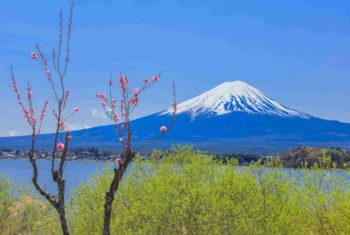 富士の絶景が楽しめる！山梨県でおすすめの「道の駅」ドライブ特集
