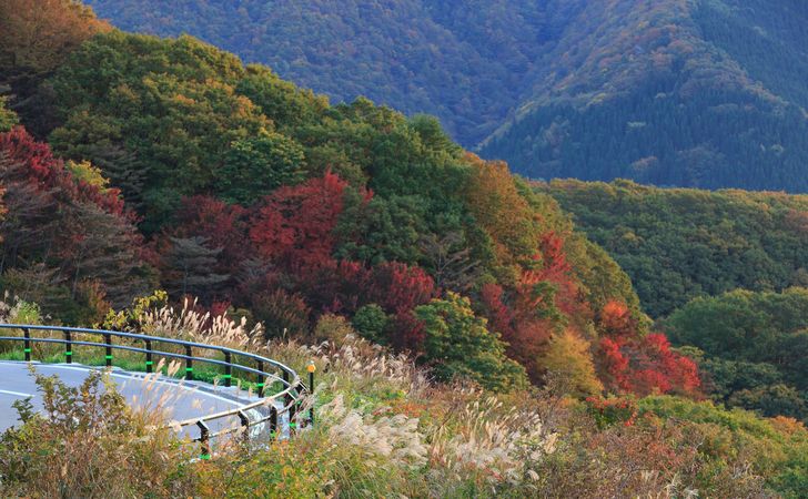岡山県の紅葉を楽しめるドライブコース