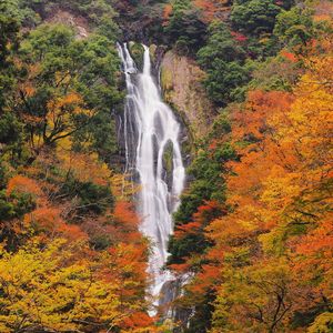 秋グルメと温泉を堪能しよう 岡山県の紅葉を楽しめるドライブコース Carticle カーティクル