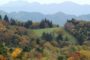 愛知県の紅葉を楽しめるドライブコース
