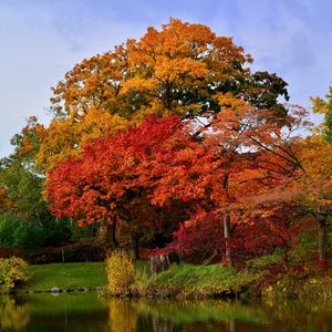 中島公園