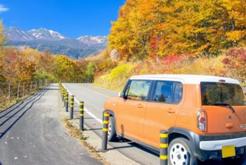 軽自動車の気になる燃費は？平均的な評価と特徴を紹介