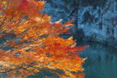 亀山湖の紅葉を見に行きたい