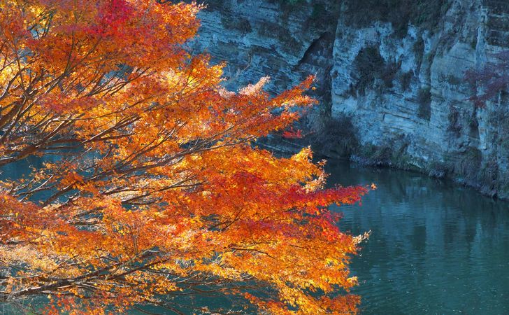 亀山湖の紅葉を見に行きたい