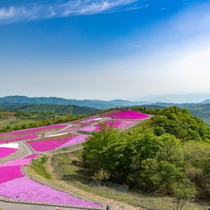 茶臼山高原で自然と触れ合う