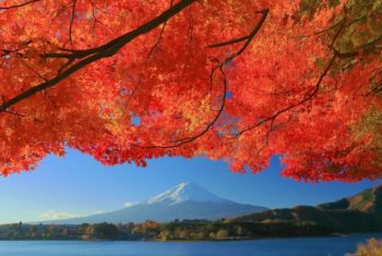 河口湖の紅葉に癒やされよう！おすすめのドライブルートは？