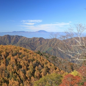 しらびそ高原