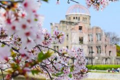 広島県で桜を見るならどこ？