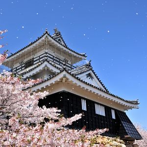 浜松城公園