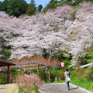 奥山公園