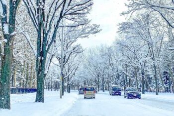 雪道に強いのはどんな車？ 選び方のポイントとおすすめ車種5選