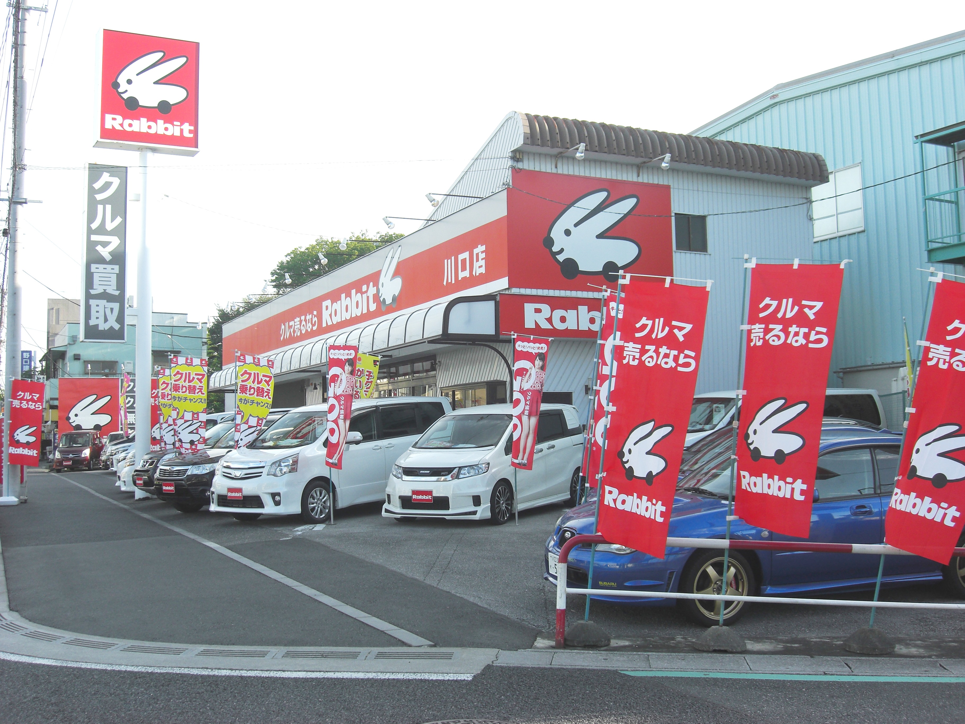 ラビット川口店