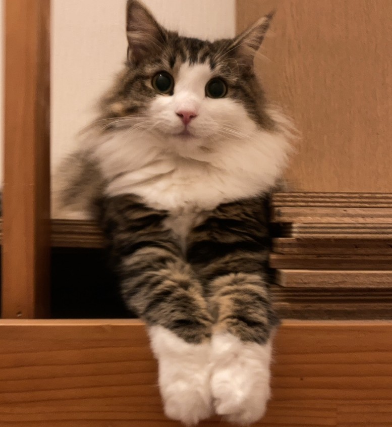 スタッフ写真